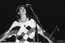 Festa per la independència a Ripollet l'any 1992 